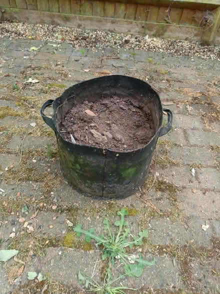 Photo of free Grow bag with soil 30 diameter (Letchworth SG6) #2