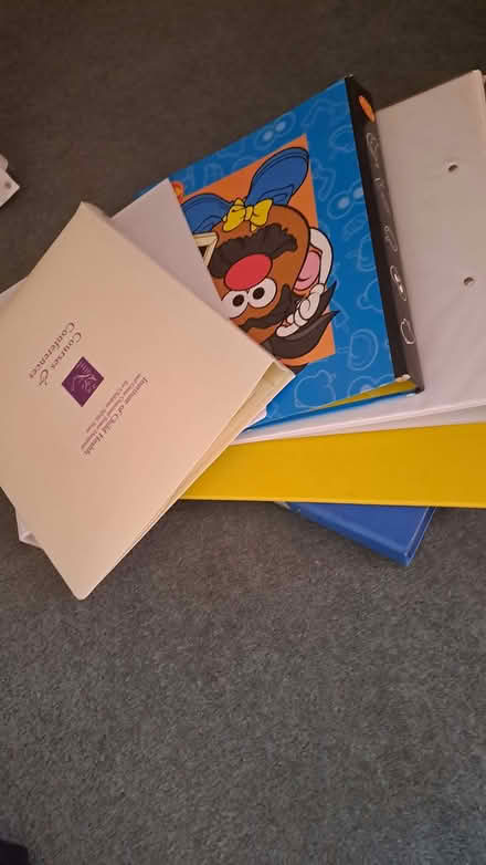 Photo of free A4 ring binders for paper with 2 or 4 holes (Dodleston CH4) #1