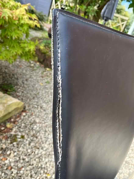 Photo of free Dining chairs (SY4 Bomere Heath) #2