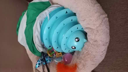 Photo of free Cat bundle (EH16, the inch) #2