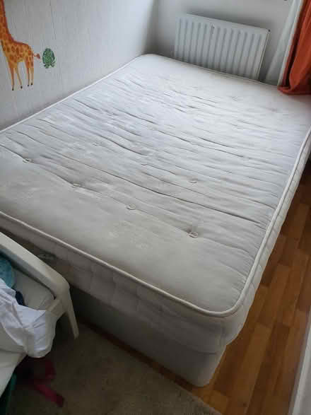 Photo of free Old small double divan bed (N8 North London) #1