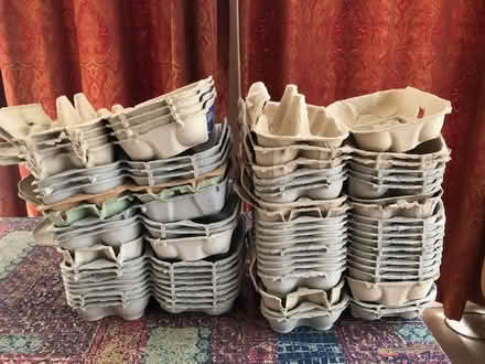Photo of free Egg boxes (West Malling ME19) #1