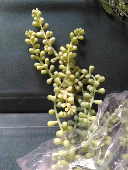 Photo of free Plastic plants (Tooting, SW17) #2
