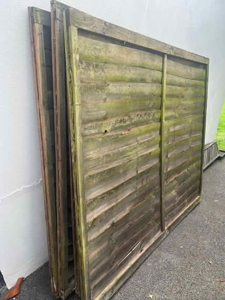 Photo of free 4 fences and 4 trellises to give away (Mill Hill Circus NW7) #3