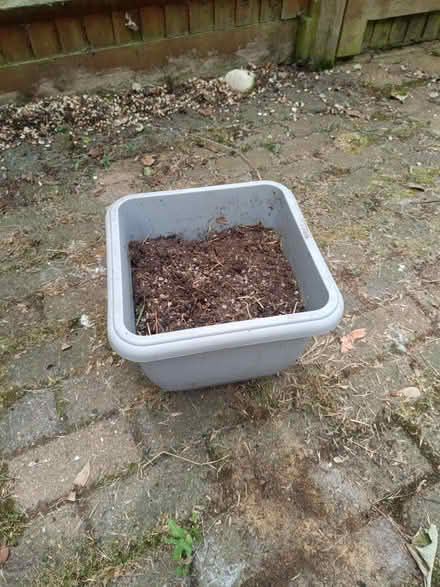 Photo of free Plastic planter (Letchworth SG6) #2
