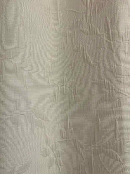 Photo of free Shower Curtain (Palisades DC.) #1