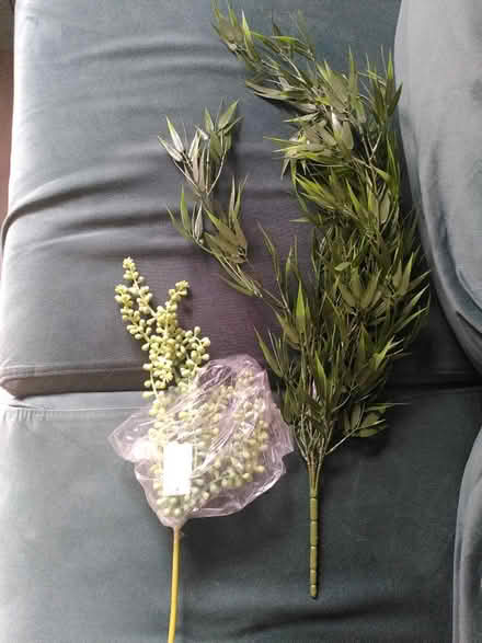 Photo of free Plastic plants (Tooting, SW17) #1