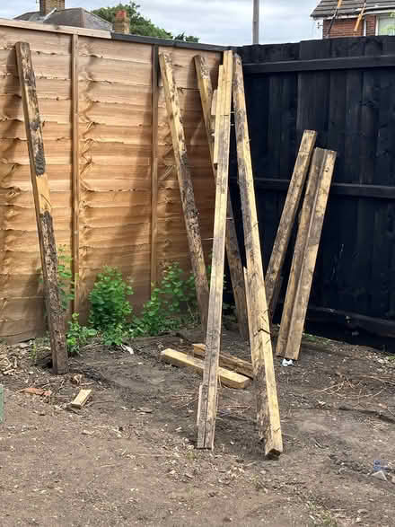 Photo of free Pieces of wood (Witham) #1