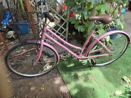 Photo of free Adults Ladies Pink Vintage Bike (Mitcham CR4) #1