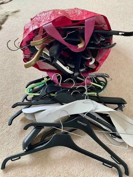 Photo of free Coat hangers (Knotty Green HP9) #1