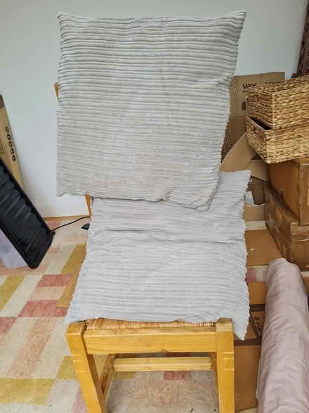 Photo of free Cushions (Mill Hill NW7) #1