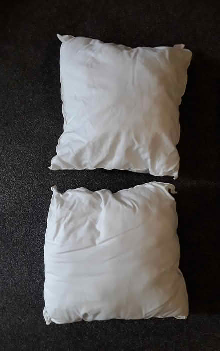 Photo of free 2 cushion pads (Woking GU22) #1