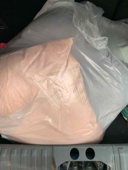 Photo of free 3 bags of cushions (Rowhedge CO5) #3