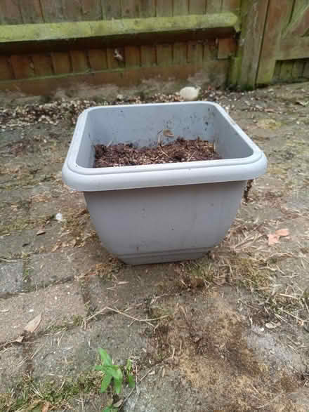 Photo of free Plastic planter (Letchworth SG6) #1