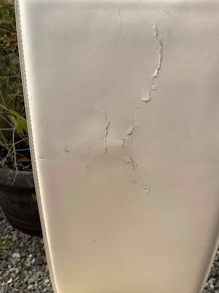 Photo of free Dining chairs (SY4 Bomere Heath) #3