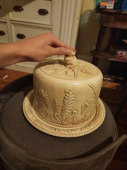 Photo of free Italian Cake Dome Dish, ferns (Brighton) #1