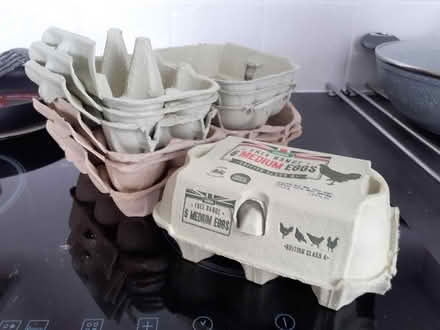 Photo of free 7 egg boxes (6 egg size) (Styvechale, Coventry) #1