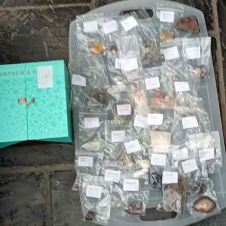 Photo of free Rock Samples and Fossils (Natland LA9) #1