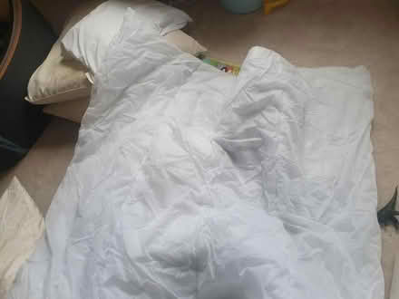 Photo of free Pillows, cushions, toddler duvet (Wallington, SM6) #1
