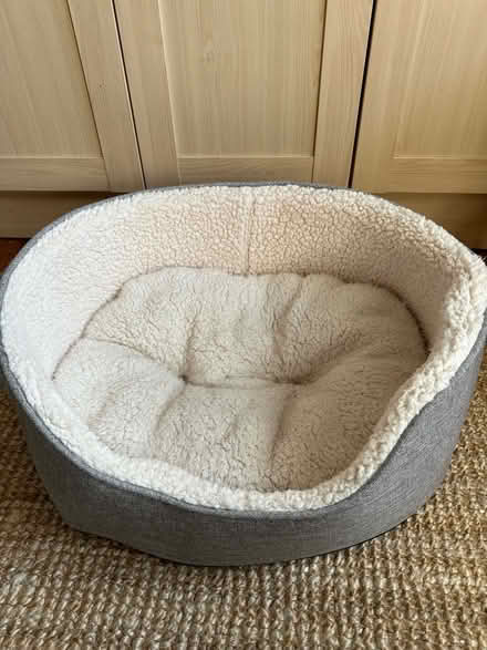 Photo of free Dog/ cat bed (Morningside EH10) #1