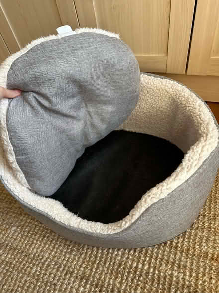 Photo of free Dog/ cat bed (Morningside EH10) #2