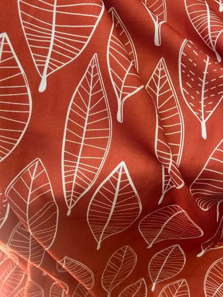 Photo of free Curtains (Earlswood RH1) #1