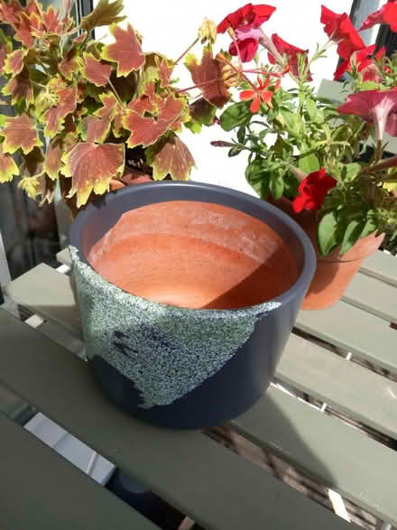 Photo of free Plants and pots (Southend on Sea SS1) #1