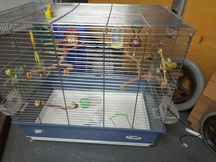 Photo of free Bird cage. Maybe for canary (Stannington S6) #1
