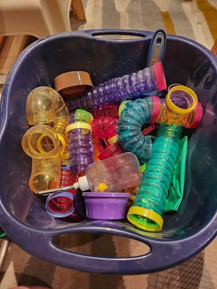 Photo of free Hamster/gerbil homes (Dixie and dundas) #2