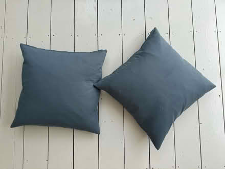 Photo of free Two standard size blue cushions (Peckham rye) #1