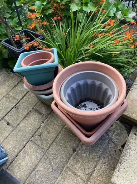 Photo of free Plant Pots (Chapeltown S35) #1