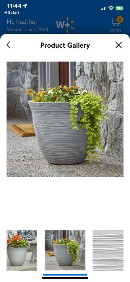 Photo of Medium Size Planter (Barrett Brothers Condos) #1