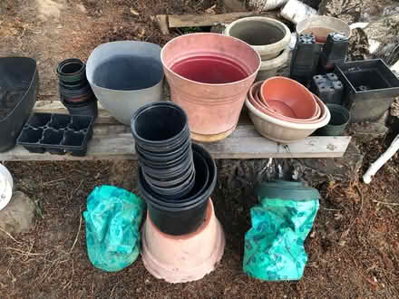 Photo of free Plastic Plant Pots (Salmon Creek Vancouver) #3