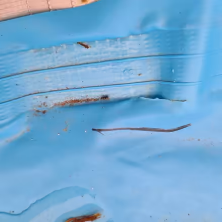 Photo of free 12foot frame swimming pool (Worcester) #2
