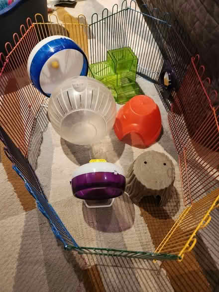 Photo of free Hamster/gerbil homes (Dixie and dundas) #1