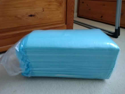Photo of free Incontinence items (Melbourn Royston) #3