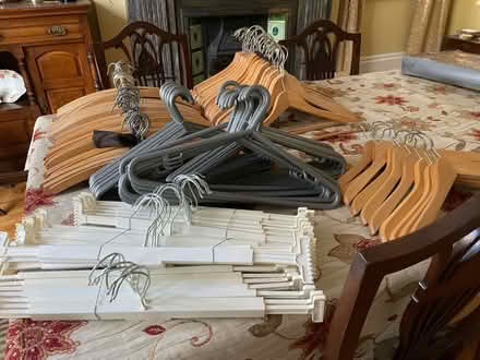 Photo of free Wood and plastic hangers (S11 Carter Knowle) #1