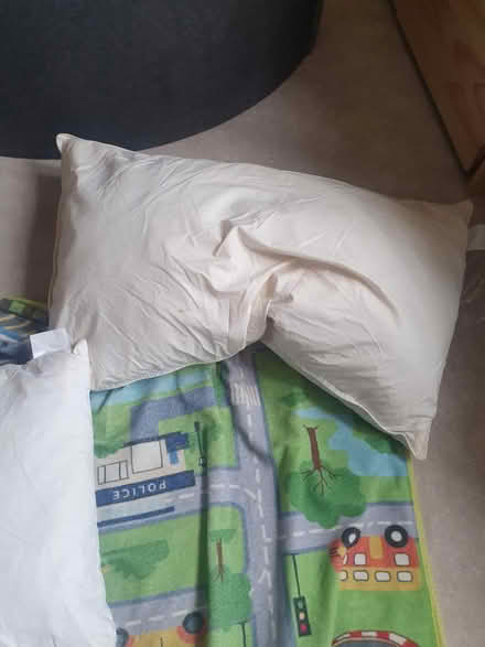 Photo of free Pillows, cushions, toddler duvet (Wallington, SM6) #3