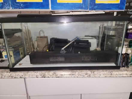 Photo of free Large aquarium (Uptown Kingston) #1