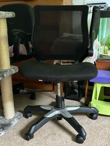 Photo of free Swivel office chair (BH8 Bournemouth) #1