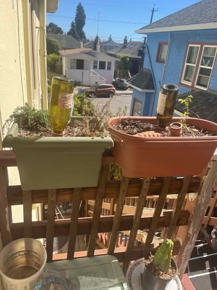 Photo of free Railing planters (Ashby) #1