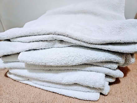 Photo of free towels (Bussage GL6) #2
