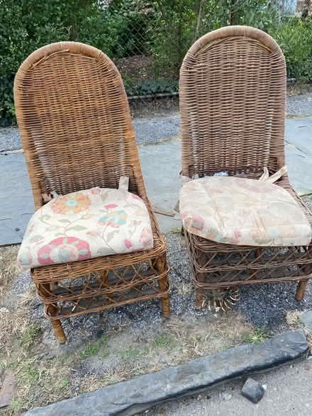 Photo of free Curb alert - Walnut St (New Rochelle) #1