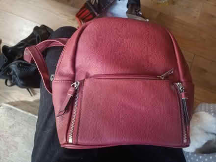 Photo of free Small women's faux leather backpack (Northern moor) #1