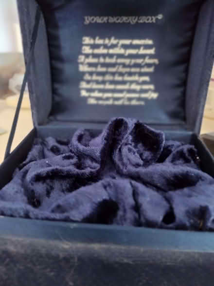 Photo of free Velvet musical box (Crosspool S10) #2