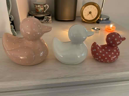 Photo of free Ornamental Bathroom Ducks (Oxley, Wolverhampton, WV10) #1