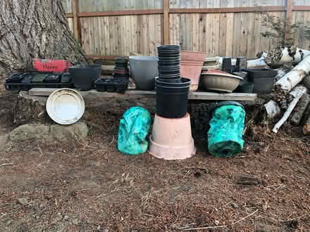 Photo of free Plastic Plant Pots (Salmon Creek Vancouver) #1