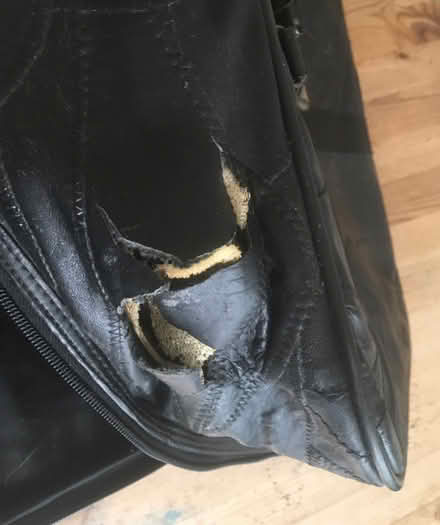 Photo of free Leather bag (Fairwater CF5) #2
