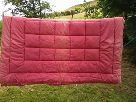 Photo of free Thick eiderdown, good for dog bed? (Llansaintfraed in Elwel LD2) #2