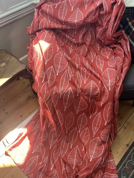 Photo of free Curtains (Earlswood RH1) #2